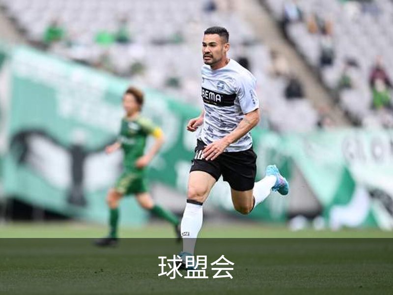 球盟会概况